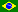 Português 